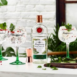 TANQUERAY DISTILLED GIN MALACCA 1LT